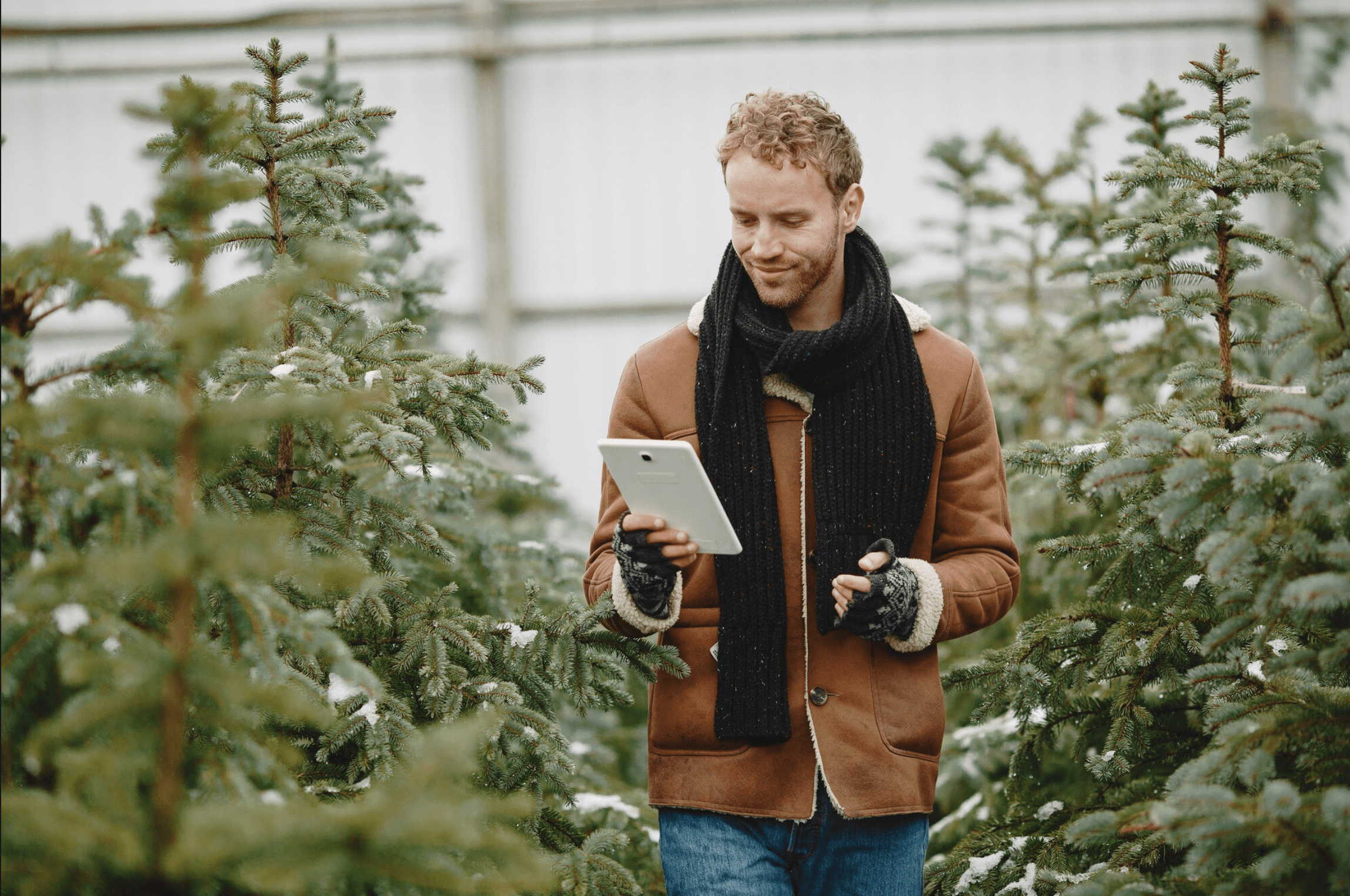 Paysagiste consultant sa tablette au milieu des arbres