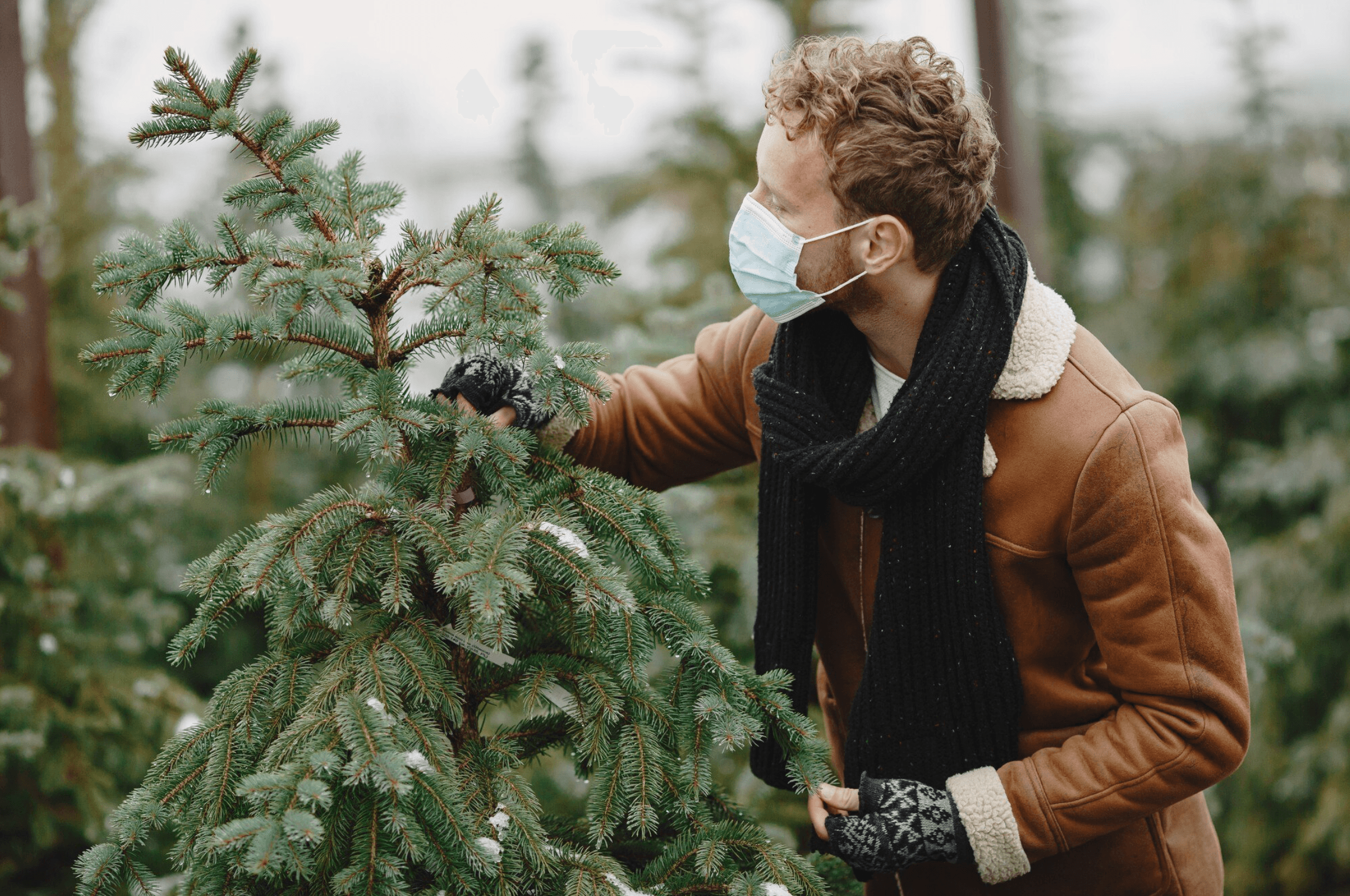 Paysagiste travaillant sur un jeune arbre